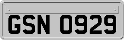 GSN0929