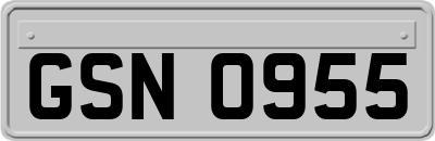 GSN0955