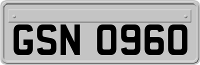 GSN0960
