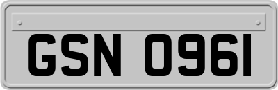 GSN0961