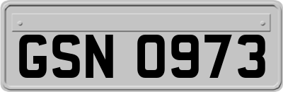 GSN0973
