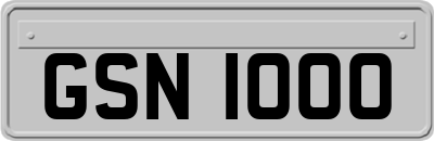GSN1000
