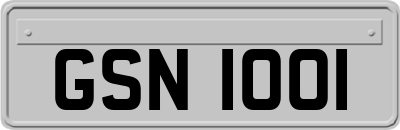 GSN1001