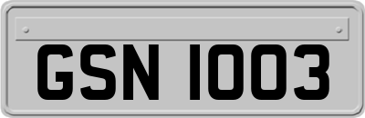 GSN1003