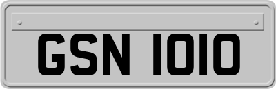 GSN1010