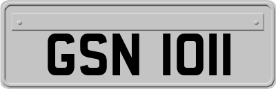 GSN1011
