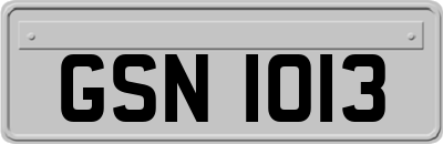 GSN1013