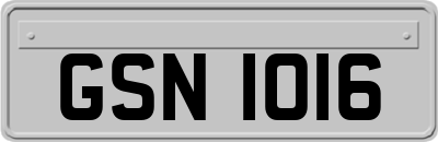 GSN1016