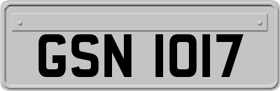 GSN1017
