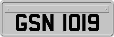 GSN1019