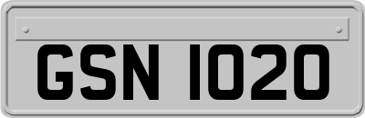 GSN1020