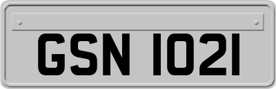 GSN1021