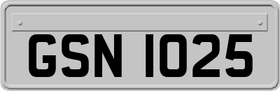 GSN1025