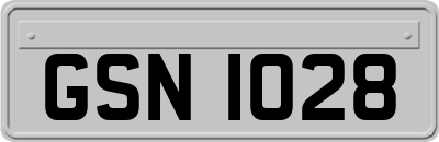 GSN1028