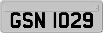 GSN1029