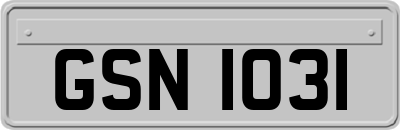 GSN1031