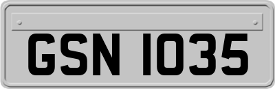 GSN1035