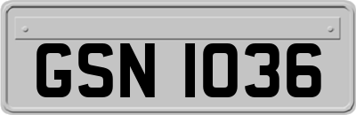 GSN1036