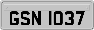 GSN1037