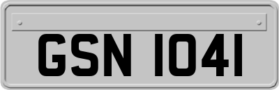 GSN1041