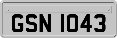 GSN1043