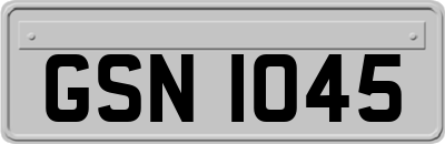GSN1045