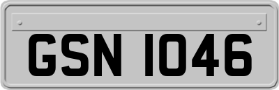 GSN1046