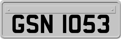 GSN1053