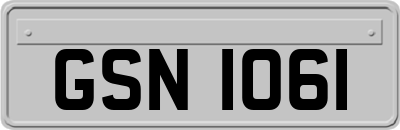 GSN1061
