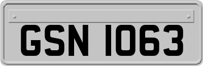 GSN1063