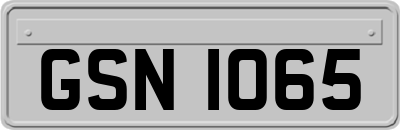 GSN1065