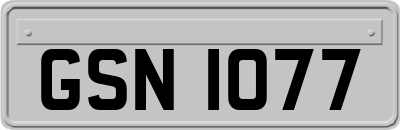 GSN1077
