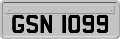 GSN1099