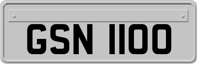 GSN1100
