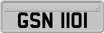 GSN1101