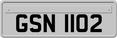 GSN1102