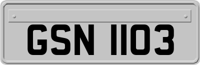 GSN1103