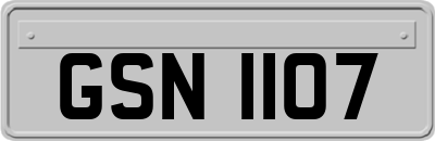 GSN1107