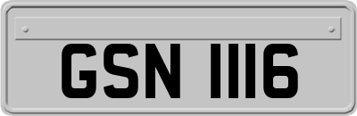 GSN1116