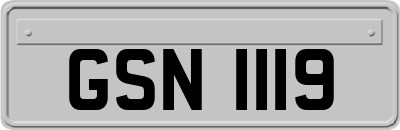 GSN1119