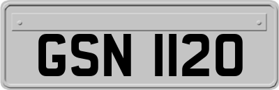 GSN1120