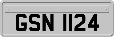 GSN1124
