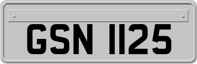 GSN1125