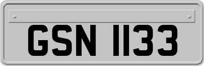 GSN1133