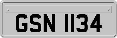GSN1134