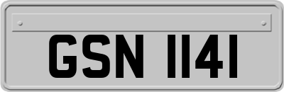 GSN1141