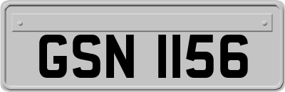 GSN1156