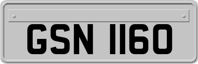 GSN1160