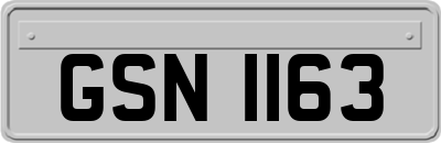 GSN1163