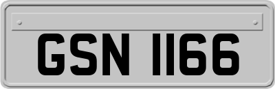 GSN1166
